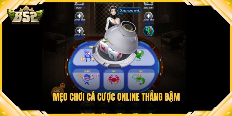 Mẹo chơi cá cược online thắng đậm